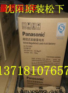 蓄电池LCP12100ST|电池L12V100AH质保3年