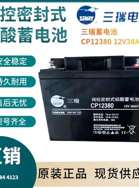 CP12380 12V38AH 通信电源 安防系统 信号系统