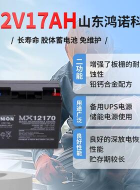 免维护蓄电池MX12170/友联12V17AH直流屏 EPS UPS电源用