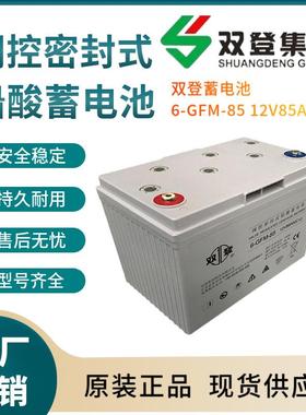 6-GFM-85 12V85AH 电信基地 深循环 浮充使用