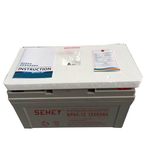 SEHEY西力蓄电池NPG65-12储存年限12V65AH总商