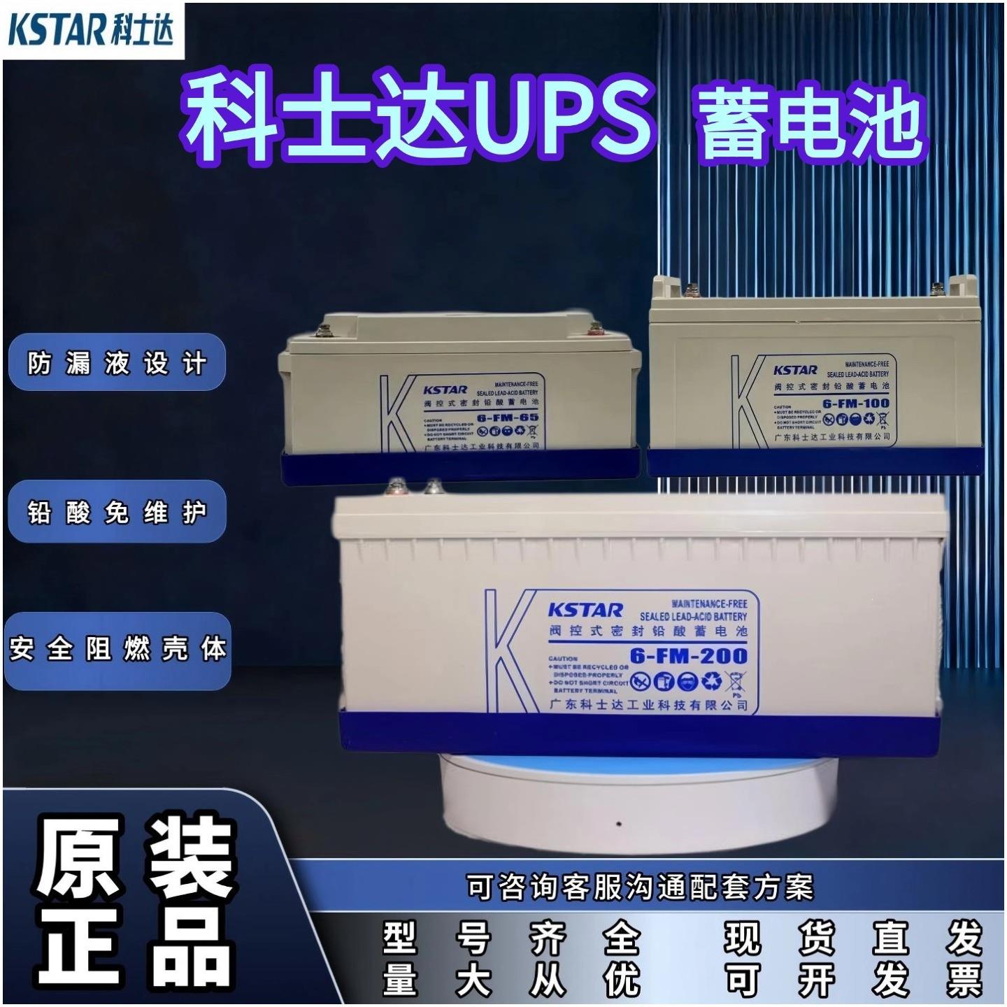科士达UPS蓄电池6-FM-65AH/12V17AH/38AH/100AH直流屏UPS电源专用