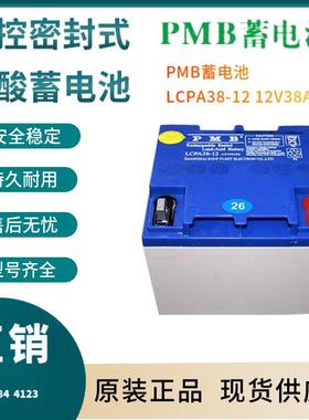 LCPA38-12 12V38AH 发动机装置 船舶专用 发电厂用