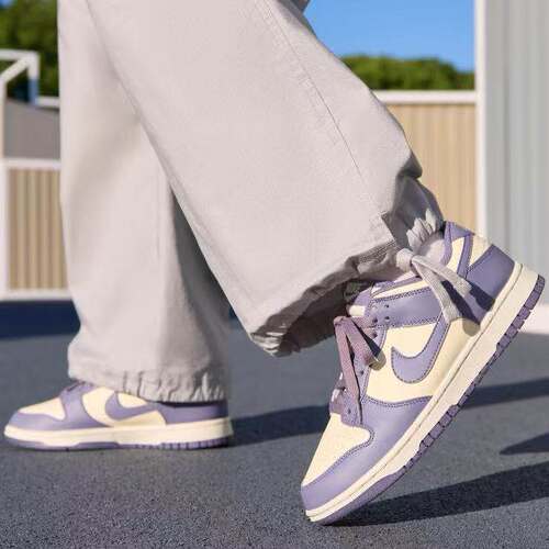 Nike/耐克 Dunk Low 经典时尚舒适 低帮板鞋男款 黑蓝IB2267-001