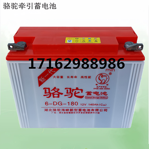骆驼电动三轮车动力电瓶6-DG-180
