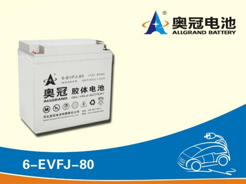 动力免维护蓄电池正品