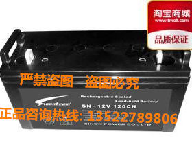 赛能蓄电池SN-12V120CH