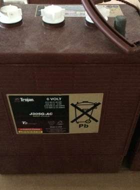 美国原装Trojan 邱健蓄电池J305G-AC进口电瓶6V315AH特价包邮