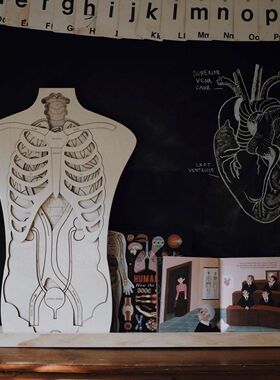 现货波兰手工木制拼图积木人体结构认知木质拼图益智立体拼板教具