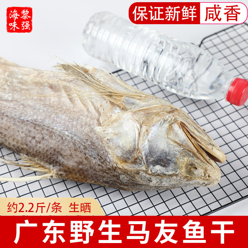 阳江海捕大马友鱼干海鲜干货非梅香咸鱼干马鲅海鱼午鱼马五鱼整条