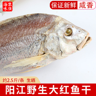 阳江海捕红鱼干海鲜干货红鳍笛鲷腌制咸鱼干大红鱼海鱼干腊鱼整条