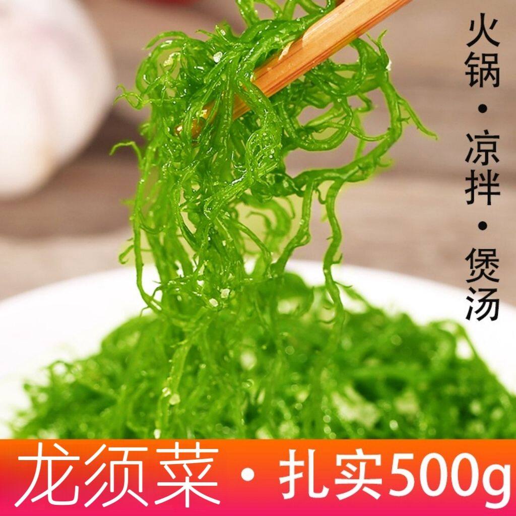 盐渍龙须菜海鲜海藻火锅凉拌海草裙带菜鹿角菜海底蔬菜