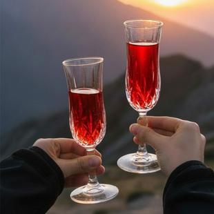 玻璃起泡酒杯香槟杯高颜值鸡尾酒白葡萄酒杯家用杯子高脚杯套装