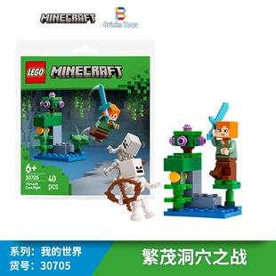 LEGO乐高积木我的世界系列30705繁茂洞穴之战拼砌包益智玩具礼物
