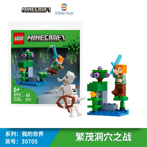 乐高我的世界拼砌包人仔