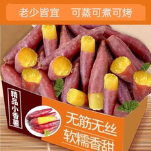 临安天目山小香薯板栗软糯香甜红薯新鲜正宗黄心手指番薯现挖地瓜