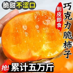 包邮 脆甜硬红火晶大软 整箱应季 巧克力脆柿子10斤新鲜水果当季