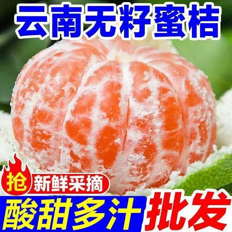 云南蜜橘早熟青皮桔子新鲜孕妇