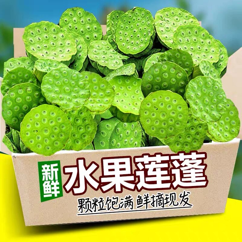 广西现摘水果莲蓬清甜生吃