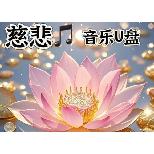 精选传统慈悲静心音乐USB盘高品质TF内存卡优盘U盘MP3格式