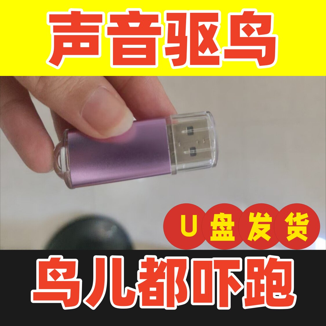 驱鸟菜地果园庄稼农田鸟惊吓声老鹰声驱赶驱鸟赶鸟吓鸟防鸟usb盘,汽车用品/电子/清洗/改装,车载音乐U盘,淘宝优惠券,粉丝福利购,淘宝优惠卷