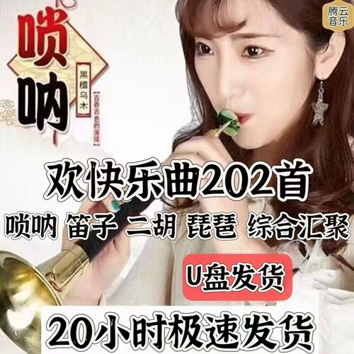 喜庆唢呐笛子二胡琵琶U盘吹奏曲欢快MP3民族乐曲音频唢呐独奏曲