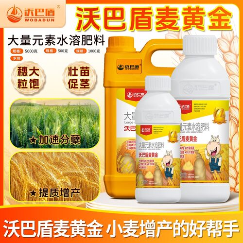 沃巴盾麦黄金小麦抗寒防冻壮苗