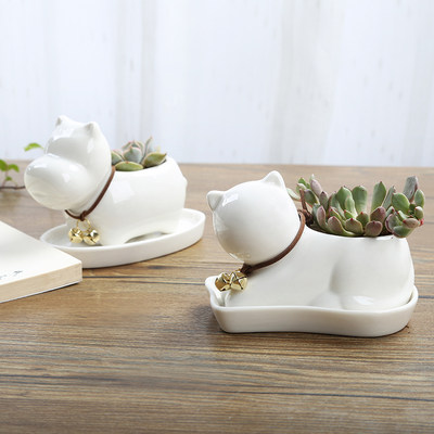 可爱卡通多肉花盆小号植物白色陶瓷创意个性简约特价清仓包邮拇指