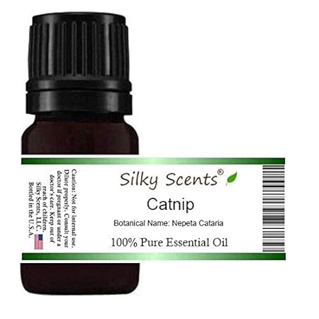 Catnip Essential Oil (Cinnamomum Catnip) 100% Pure and Na