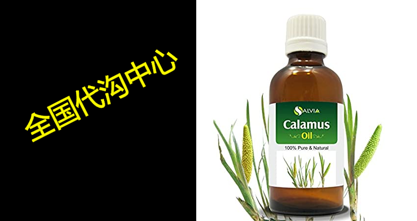 calamus oil (acorus calamus) therapeutic essential oil by