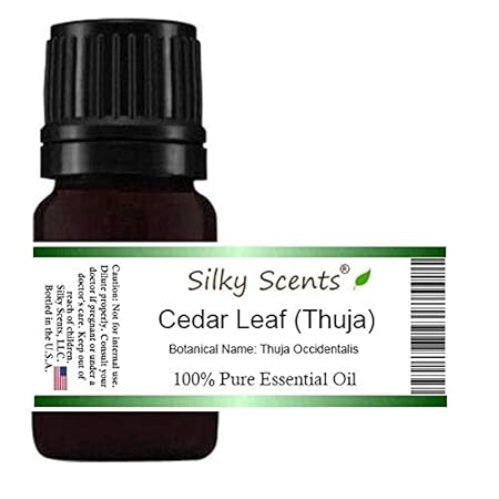 Cedar Leaf or White Cedar Essential Oil (Thuja Occidental