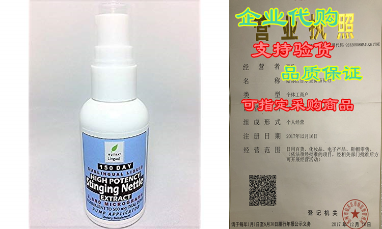 stinging nettle leaf extract —high potency 20:1