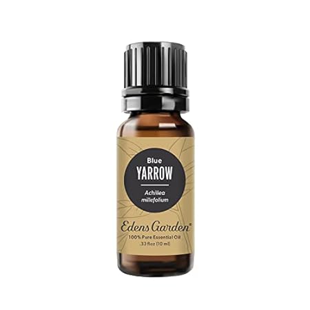 Edens Garden Yarrow- Blue Essential Oil， 100% Pure Therap