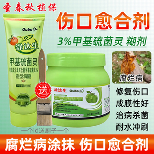 果树伤口愈合剂树皮树干盆景植物伤口涂膜剂嫁接涂抹剂甲基硫菌灵