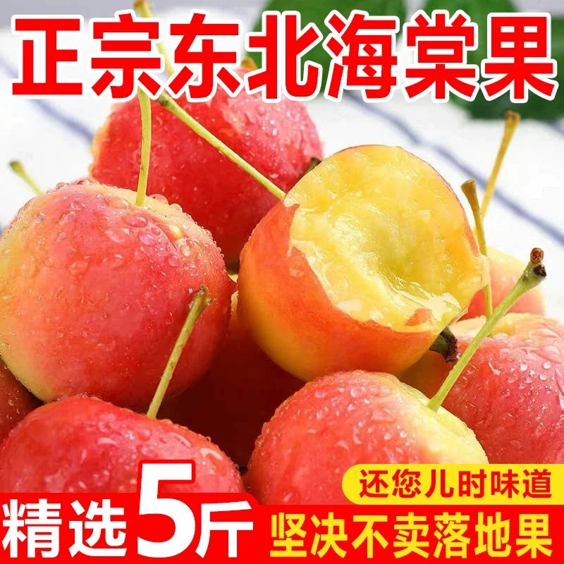 正宗东北海棠果黄太平应当季孕妇水果糖心小苹果海棠果整箱装包邮