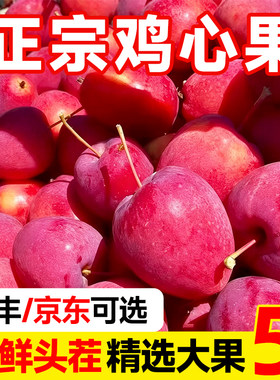 东北特产鸡心果沙果锦绣海棠果应当季孕妇水果整箱包邮小苹果秋果