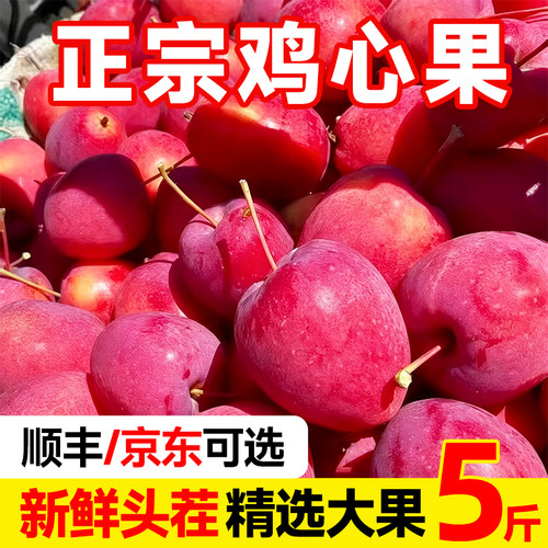 东北特产鸡心果沙果锦绣海棠果应当季孕妇水果整箱包邮小苹果秋果