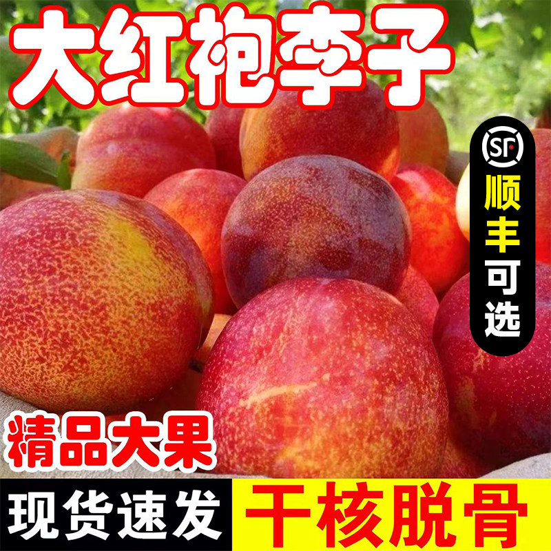 东北新鲜大红袍干核李子整箱包邮图片