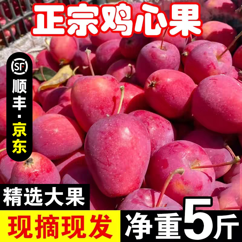 东北正宗鸡心果锦绣海棠果新鲜孕妇应季水果整箱顺丰包邮秋沙果10