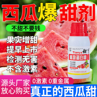 西瓜膨大增甜剂水果果树杨梅甜瓜肥料甜蜜素坐果西瓜增甜剂专用肥