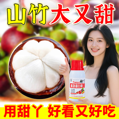 山竹膨大增甜剂水果退酸增甜专用肥果树膨果防裂叶面肥壮果甜蜜素