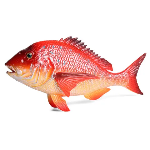 摆件淡水鱼海洋苏眉鱼动物观赏鱼玩具儿童鲤鱼红绸模型狼鱼鱼仿真