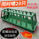 长方形鸡食槽20孔鸭鹅圆形喂料槽熟胶耐用养殖用具