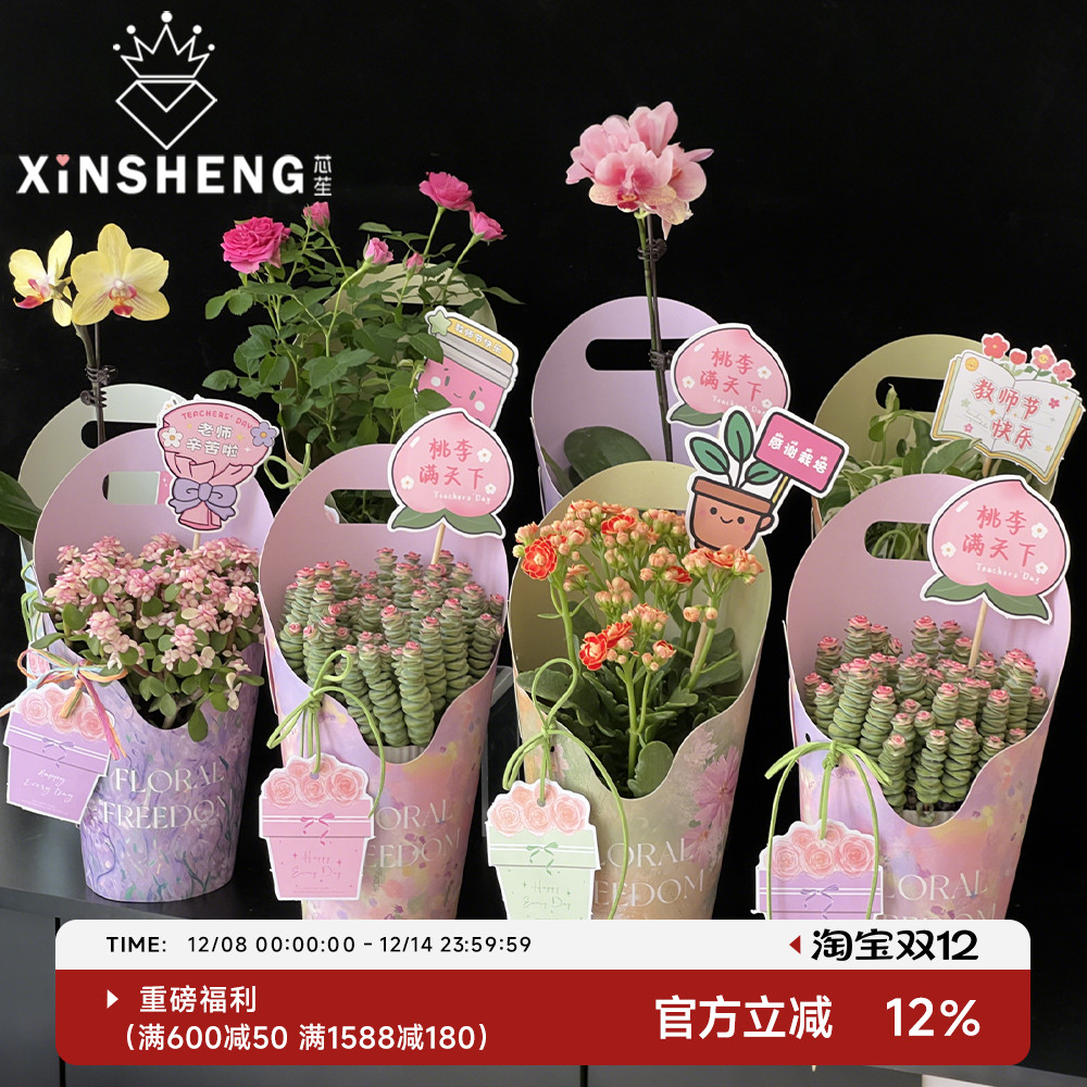 芯苼原创绿植多肉送礼手提花盒