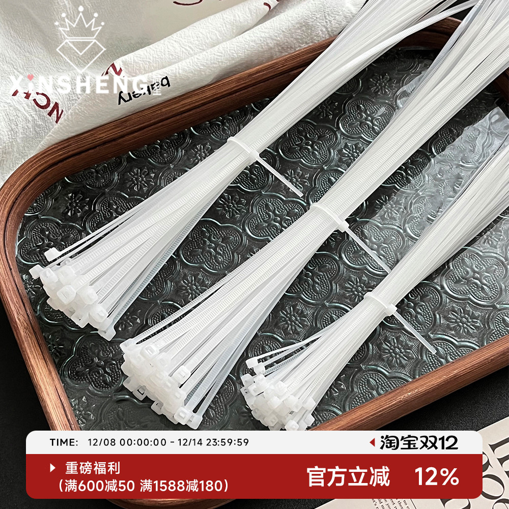 500条自锁式尼龙扎带芯苼