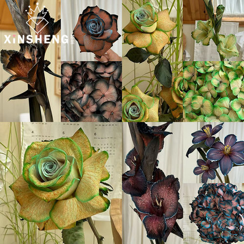 芯苼鲜花染色剂持久鲜艳不褪色