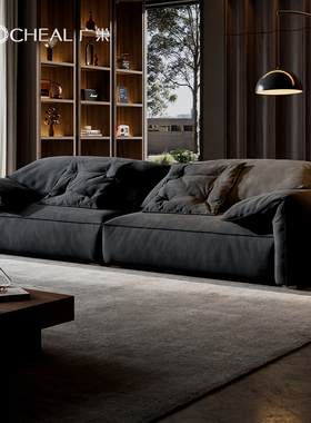 广巢 大象耳朵沙发意式布艺baxter客厅直排磨砂布小户型组合极简B