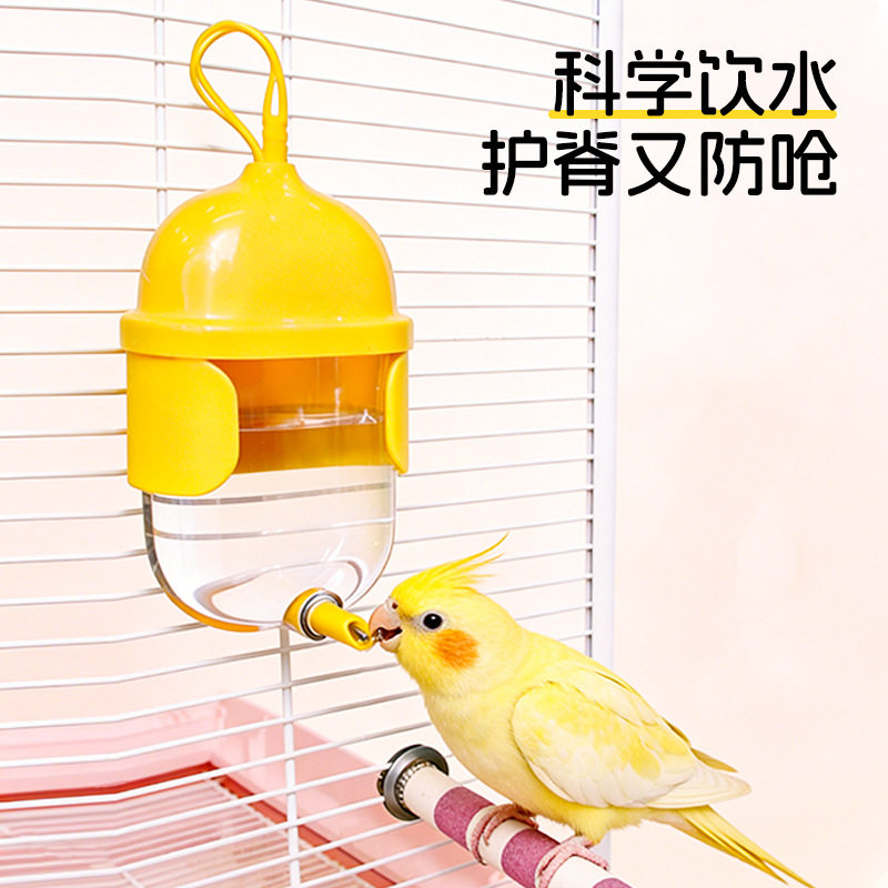 饮水器玄凤鸟用胶囊撞针水壶自动喝水器八哥小太阳牡丹喂水器