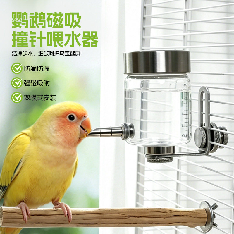 撞针饮水器磁吸玻璃鸟用自动喂水器八哥龙猫水壶新款鸟笼配件