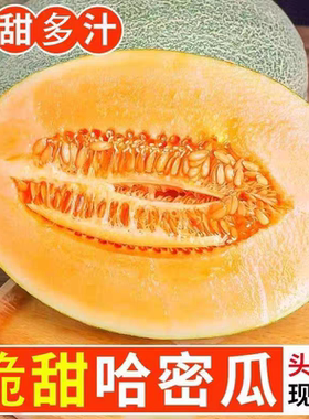 正宗海南哈密瓜西州蜜晓蜜新鲜水果蜜瓜网纹甜瓜烈焰蜜瓜脆甜甜瓜
